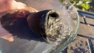 Jbl Flip 6 Water Test !!!!