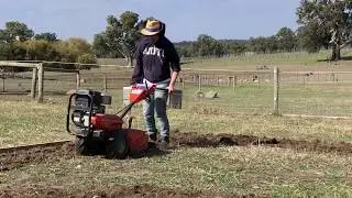 Creating veggie gardens with our husqvarna tiller / Rotary hoe 🥦🧄🥬🌱🥒🥕