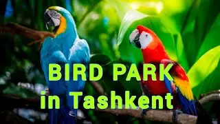 Парк ручных попугаев в Ташкенте. Ташкентский зоопарк.