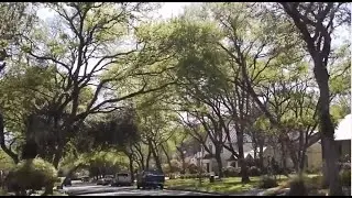 Tarrytown Austin - Realty Austin Neighborhood Profile