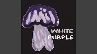 White Purple