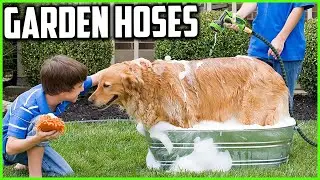 Top 5  Best Garden Hoses Reviews
