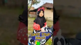 Sapi Tiup Balon 😱 #Atifa azkara
