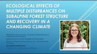 Ecological Effects of Multiple Disturbance on Subalpine Forest Structure and Recovery