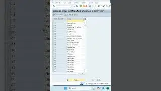 What is Distribution Channel in SAP? | Step-by-Step Creation Guide