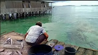 Spot Langka❗Ikan Kumpul Di Belakang Rumah Kalau Mau Makan Ikan Segar Tinggal Mancing