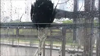 Water Penetration Resistance Test