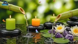 Soft Piano & Water Sounds for Deep Sleep 🌙 Relaxing Music & Stress Relief