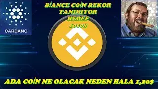 #CARDANO