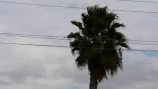 HDV Video Test