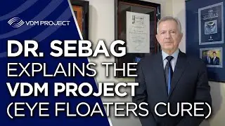 Dr. Sebag Explains The VDM Project (Eye Floaters Cure)