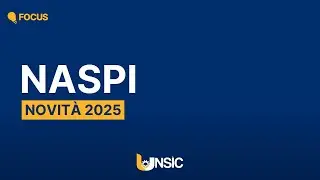 Focus - Novità Naspi 2025