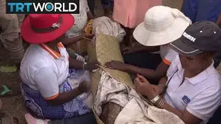Madagascar Plague Epidemic: Sacred ritual of wrapping dead is a healthrisk