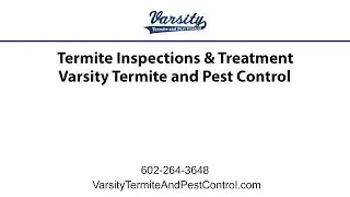 Termite Inspections & Treatment | Varsity Termite & Pest Control