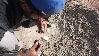 One Day Field Work In the Dhok Bun Ameer Khatoon, district Chakwal