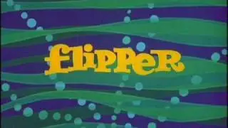 FLIPPER THEME