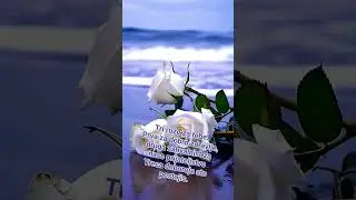 Tri ruže 🌹🌹🌹
