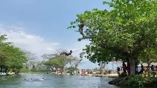Caymanas River...watch till the end 😮 #CaymanasRiver #RochelleGibson