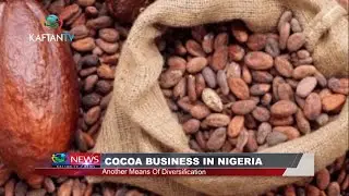 COCOA BUSINESS IN NIGERIA