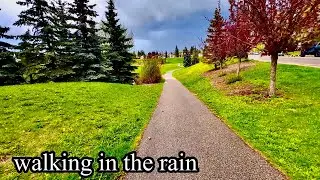 Walking in the Rain:Calgary, Alberta 4K