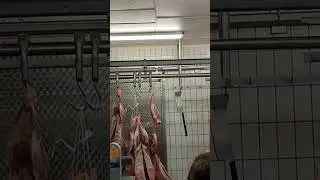 Goat 🐐 meat company in Mannheim Germany| best Goat cutting skills #viral #vlog #shortvideo #foryou