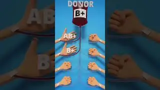 Blood Compatibility Explained! 🩸 Who Can Donate & Receive? | Universal Donor & Recipient #doctors