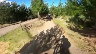 Chicken Run (Woodhill)