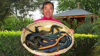 4kg Crispy Deep-Fried Eel Cooked in Spicy Chili Broth, A Flavor Explosion!| Uncle Rural Gourmet