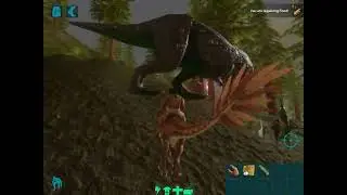 High Level tamed raptor vs Wild Trex. Ark Mobile.