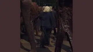 Zmianiŭ?