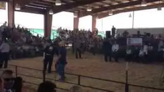 2015 Yuma County Fair livestock auction