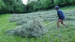 Pushing hay ready for hand Baling