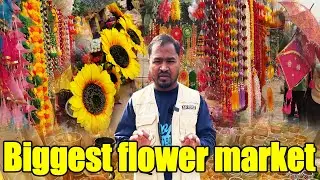 Artificial Biggest Flowers Market Ghazipur Delhi | Flower Market Ghazipur | #gulab #genda #mogra