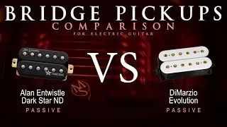 Alan Entwistle DARK STAR ND vs DiMarzio EVOLUTION - Bridge Guitar Pickup Comparison Tone Demo