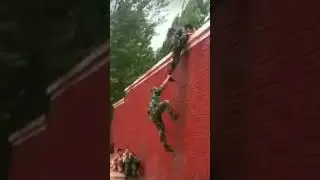 Army vs Street Dog | Wall Climbing #Shorts #ViralVideo