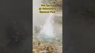 Norris Geyser Basin's hot spring in Yellowstone!!  #YellowstoneMagic #NaturalTherapy #hotspring