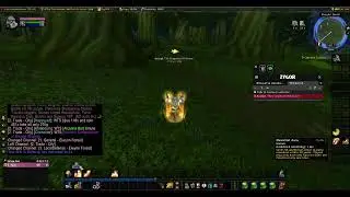 Leveling Dwarf Paladin Dreamscythe Alliance WoW Classic: 20th Anniversary
