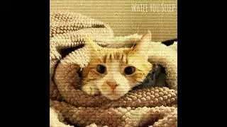 While You Sleep