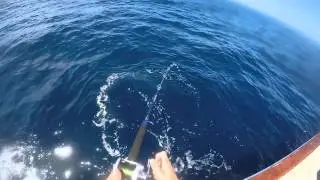 Splash Pools/Dominator Sport Fishing