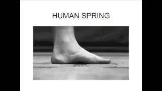 Video Tutorial #12 How The Human Spring Mechanism Absorbs Impacts Through Floor One, The Arch