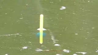 Close up float fishing