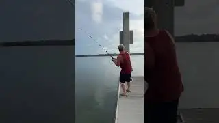 #fyp #fishing #fish #shark #comedy #funny #fortheboys