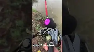 Shimano Slx Dc vs Shimano Curado Dc sound test🔊🔊🔊