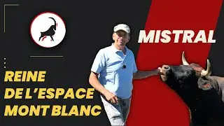 Reine de l'espace Mont Blanc 2022  -  Mistral