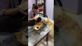 Dog shorts | Can&rsquo;t ignore this innocent bacha 😂😂#shorts #short #viralshort #viralshorts