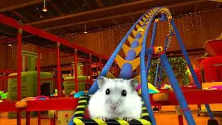 Hamster in Roller Coaster Elf Toy Workshop