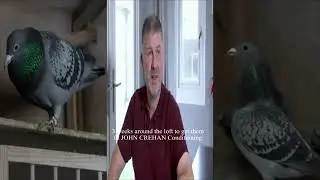 Белок/диета ДЖОН КРИХАН 3 недели на чердаке, чтобы привести себя в форму