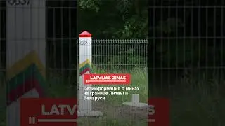 Дезинформация о минах на границе Литвы и Беларуси