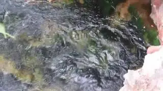 Salt Water Hot Spring | CORON Philippines - Maquinit Hot Spring | Carmela L-C.