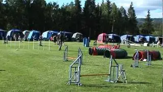 110625 Mie Hopp 3 Stav